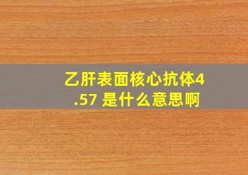 乙肝表面核心抗体4.57 是什么意思啊